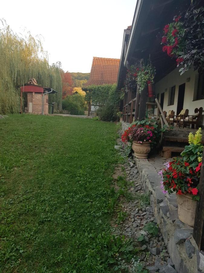 Vila Sura Razoare Sighisoara Ngoại thất bức ảnh
